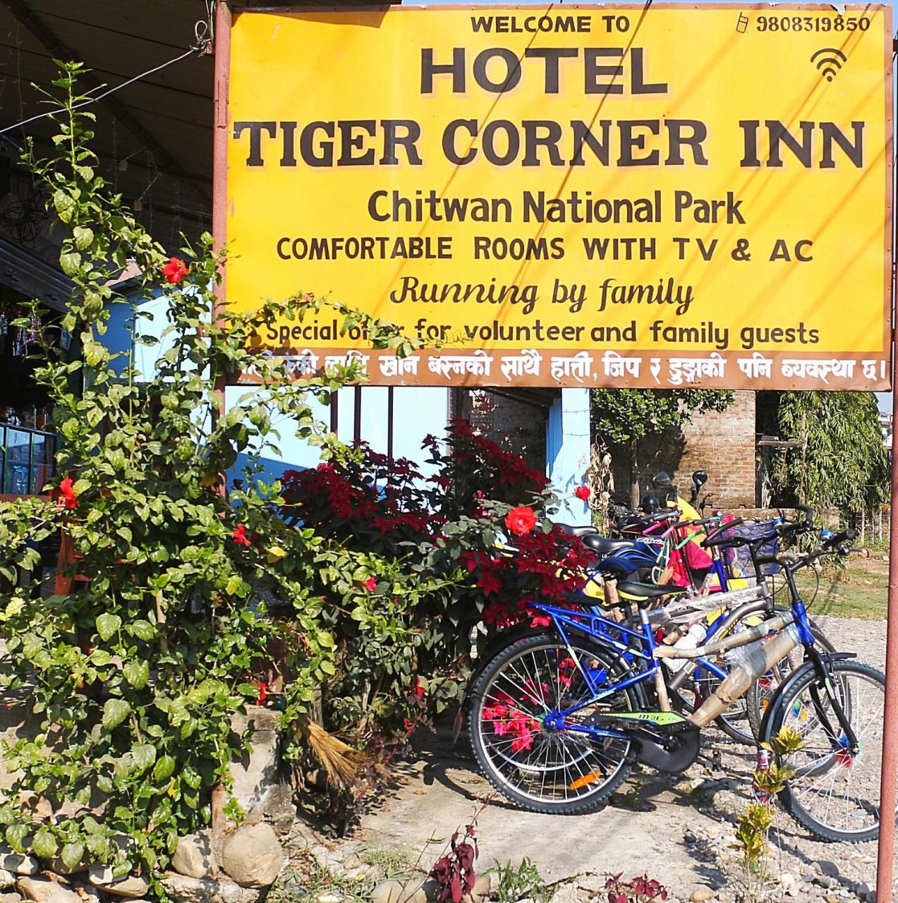 Tiger Corner Inn Homestay ソーラハ エクステリア 写真